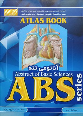 ABS آناتومی تنه