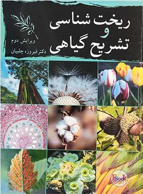 ریخت شناسی و تشریح گیاهی | فیروزه چلبیان | انتشارات آییژ