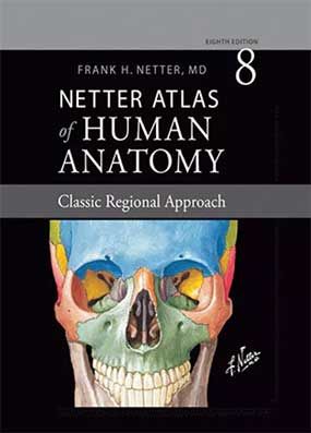 خرید اطلس آناتومی نتر 2023 ویرایش جدید با تخفیف "atlas of human anatomy Netter" به همراه قاب