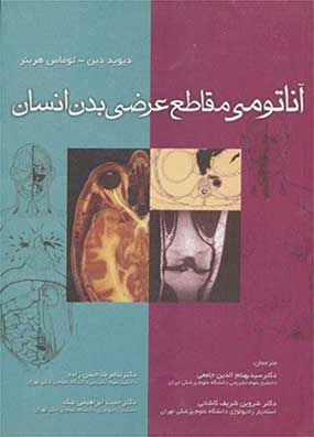 آناتومی مقاطع عرضی بدن انسان