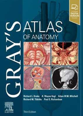 Gray’s Atlas of Anatomy 2020 - اطلس آناتومی گری زبان اصلی