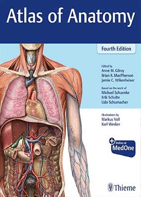 اطلس آناتومی تیمه THIEME Atlas of Anatomy زبان اصلی