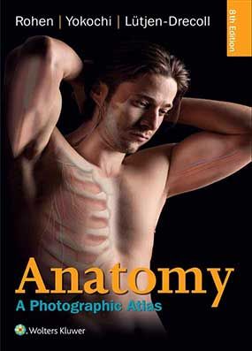 اطلس آناتومی روهن Rohen atlas of anatomy