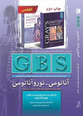 GBS آناتومی نوروآناتومی