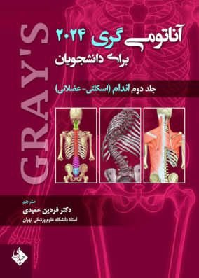  آناتومی گری اندام عمیدی 2024 