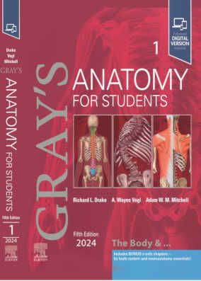 دوره 3 جلدی کتاب Gray's Anatomy for students 2024 fifth edition