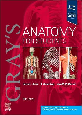 کتاب تکست آناتومی گری رحلی Gray's Anatomy for Students 2024