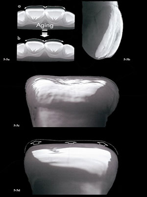 عکسی از کتاب دندانپزشکی ترمیمی بایومیمتیک